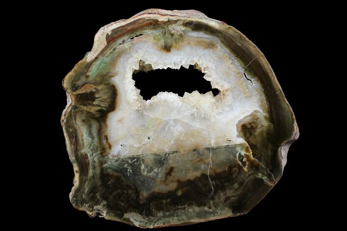 Petrified Wood (Woodworthia) Round With Crystals - Zimbabwe #167929